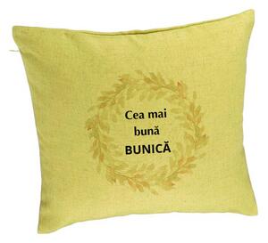 Perna Decorativa pentru Bunica 4, 40x40 cm, Verde, Husa Detasabila, Burduf