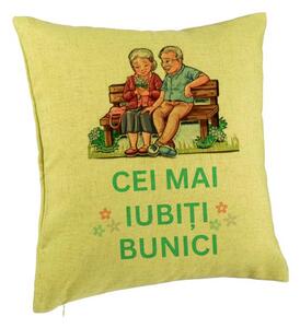 Perna Decorativa pentru Bunici 9, 40x40 cm, Verde, Husa Detasabila, Burduf