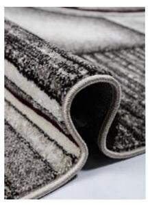 Covor Phoenix model cercuri gri-negru 3025-244 Selectează mărime: 080 X 150