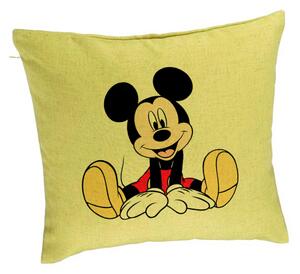 Perna Decorativa, Model copii Mickey Mouse, 40x40 cm, Verde, Husa Detasabila, Burduf