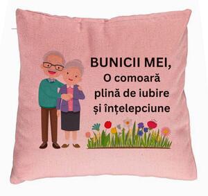 Perna Decorativa pentru Bunici 4, 40x40 cm, Roz, Husa Detasabila, Burduf