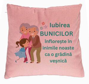 Perna Decorativa pentru Bunici 6, 40x40 cm, Roz, Husa Detasabila, Burduf