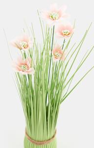 Sinsay - Plantă ornamentală - roz-pastel