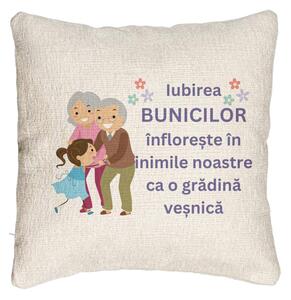 Perna Decorativa Canapea pentru Bunici 2, 40x40 cm, Cu fermoar