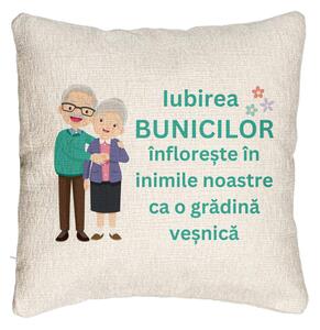 Perna Decorativa Canapea pentru Bunici 5, 40x40 cm, Cu fermoar