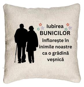 Perna Decorativa Canapea pentru Bunici 1, 40x40 cm, Cu fermoar
