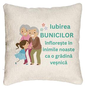 Perna Decorativa Canapea pentru Bunici 6, 40x40 cm, Cu fermoar