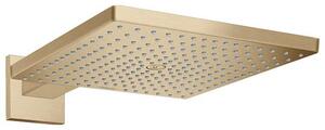 Cap de dus cu brat, Hansgrohe, Raindance E 300, bronz periat