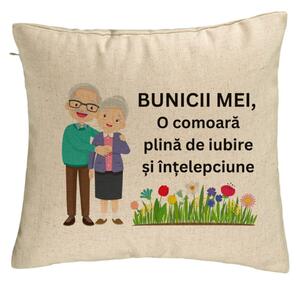 Perna Decorativa pentru Bunici 4, 40x40 cm, Bej, Husa Detasabila, Burduf