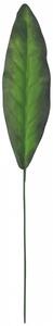 Frunze de Peacock verde 56cm flori artificiale