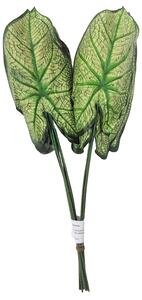 Frunze de Caladium verde 46cm / pret pentru 1 buc flori artificiale