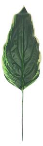 Frunze de Hosta verde 43cm flori artificiale