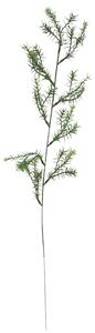Decorare Asparagus Verde 60cm flori artificiale