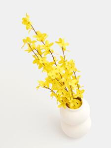 Sinsay - Plantă ornamentală - galben