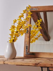 Sinsay - Plantă ornamentală - galben