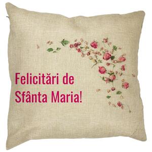 Perna Decorativa Felicitari de Sfanta Maria, 40x40 cm, Husa Detasabila, Burduf