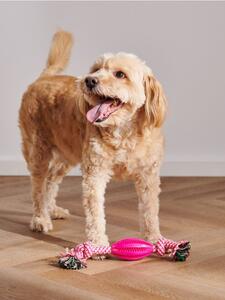 Sinsay - Jucărie pentru câini - roz-fuchsia