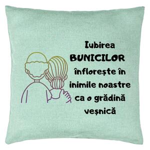 Perna Decorativa pentru Bunici 10, 40x40 cm, Verde Menta, Husa Detasabila, Burduf