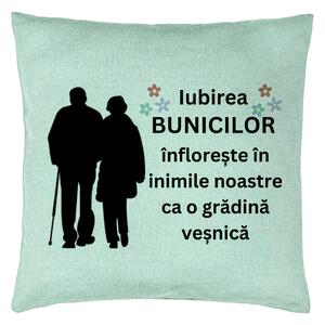 Perna Decorativa pentru Bunica 3, 40x40 cm, Verde Menta, Husa Detasabila, Burduf