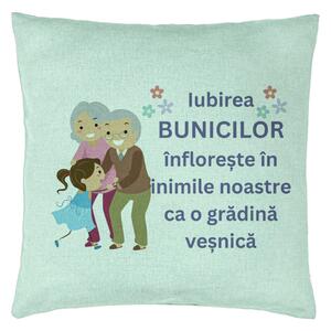 Perna Decorativa pentru Bunici 2, 40x40 cm, Verde Menta, Husa Detasabila, Burduf