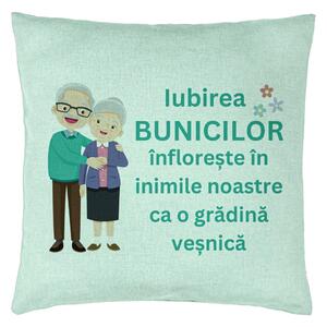 Perna Decorativa pentru Bunici 5, 40x40 cm, Verde Menta, Husa Detasabila, Burduf