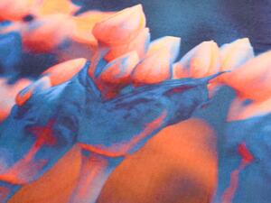 Husa de perna decorativa FASCINATA 40x40 cm, portocaliu-albastru