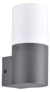 Aplica de perete exterior DALLAS 1xE27/12W/230V IP44 antracit
