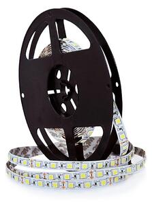 Banda LED 5m 45W/12V IP20 3000K