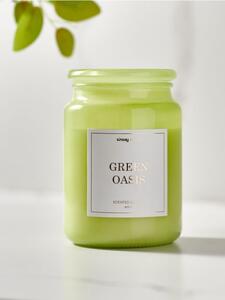 Sinsay - Lumânare parfumată Green Oasis - verde-pal