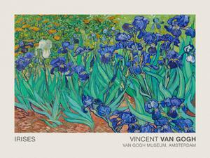 Artă imprimată Irises (Museum Vintage Floral / Flower Landscape) - Vincent van Gogh, (40 x 30 cm)