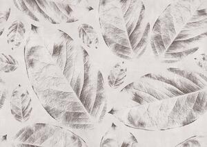 Leaves Rapsody Grey