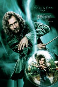 Poster de artă Harry Potter - Make a final stand, (26.7 x 40 cm)