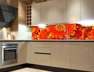 Fototapet pentru bucătărie - gerbera 180 x 60 cm