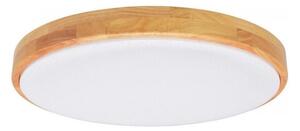Brilagi - Plafonieră LED dimabilă PINE LED/60W/230V + telecomandă