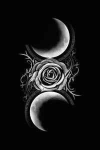Ilustrație The Black Goddess