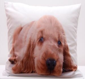 Față de pernă albă cu imprimeu de câine maro