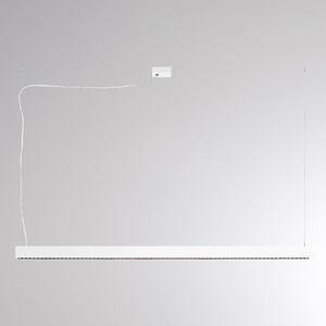 Molto Luce Lampă suspendată LED PERFORA PROLINE XL, albă, 159 cm, DALI up/down, reglabil, Alb, Camera de zi / sufragerie, Aluminiu, Modern