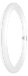 Tub LED fluorescent Osram G10q/18,3W/230V 6500K