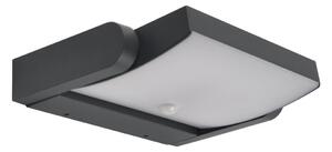 Aplică LED de exterior cu senzor Brilagi ANKLE LED/18W/230V 4000K IP65