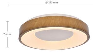 Brilagi - Plafonieră LED DORIA, 24 W, 230 V