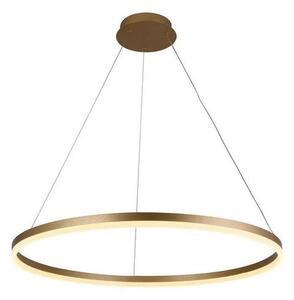 Lustră LED dimabilă pe cablu LED/55W/230V 3000-6500K + telecomandă