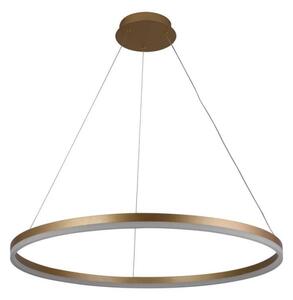 Lustră LED dimabilă pe cablu LED/55W/230V 3000-6500K + telecomandă