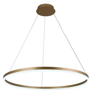 Lustră LED dimabilă pe cablu LED/55W/230V 3000-6500K + telecomandă