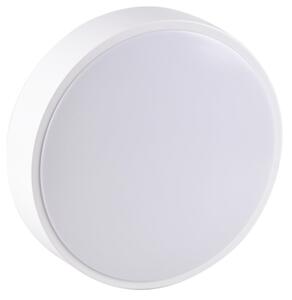 Plafonieră LED pentru baie RENE LED/15W/230V IP44 albă