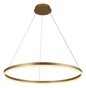 Lustră LED dimabilă pe cablu LED/55W/230V 3000-6500K + telecomandă