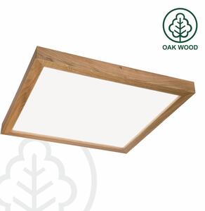 Brilagi - Plafonieră LED pentru baie WOODY FRAME, 40W, 230V, 60x60 cm, IP44, stejar