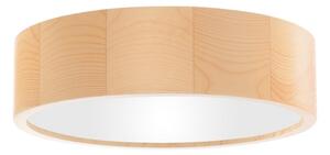 Plafonieră pentru baie CLEO 2xE27/24W/230V IP54 d. 27,5 cm pin