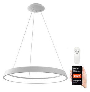 Immax NEO 07079L - Lampă LED reglabilă pe cablu LIMITADO LED/39W/230V 60 cm+DO
