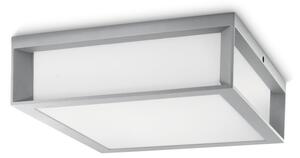 Philips - Plafonieră de exterior SKIES 2xE27/14W/230V IP44 gri