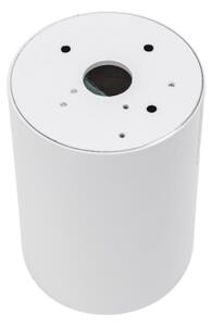 Spot CHLOE 1xGU10/35W/230V alb/auriu rotund